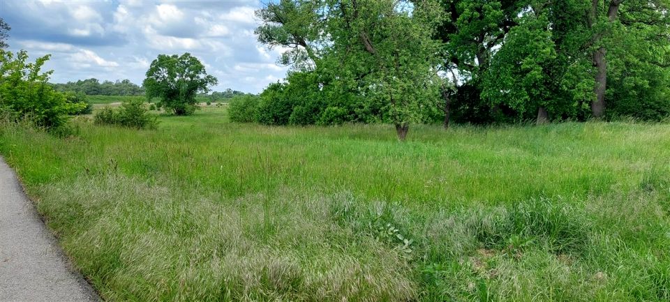 Działka budowlano-rolna Gorzów