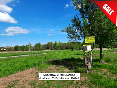 Działka Myszków