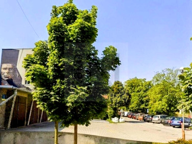 Mieszkanie Częstochowa