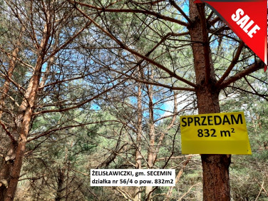 Działka Żelisławiczki