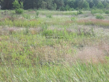 Działka budowlana Gutowo