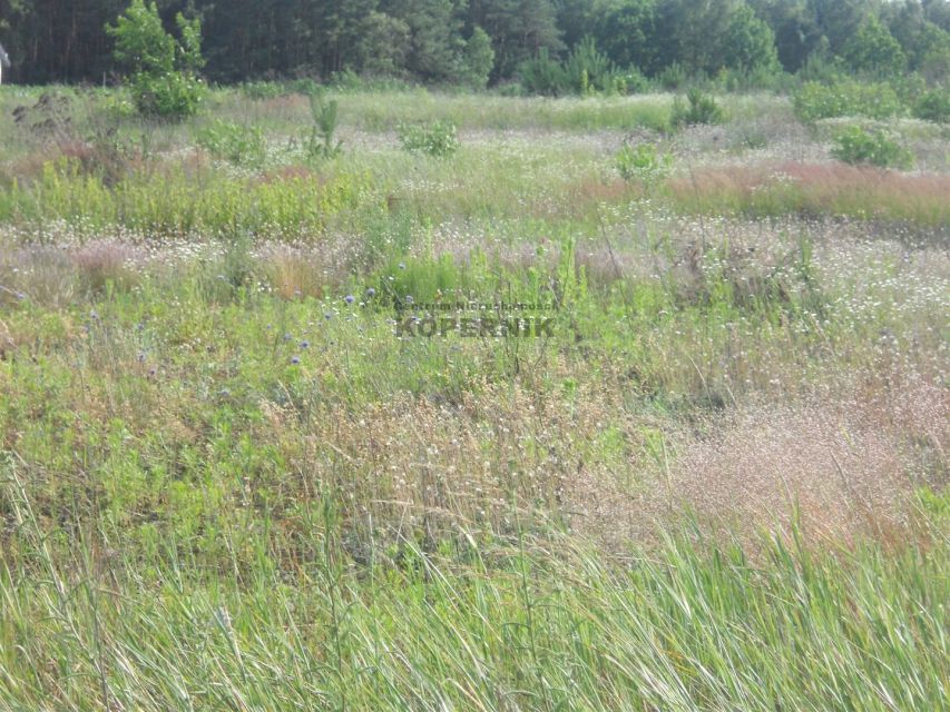 Działka budowlana Gutowo