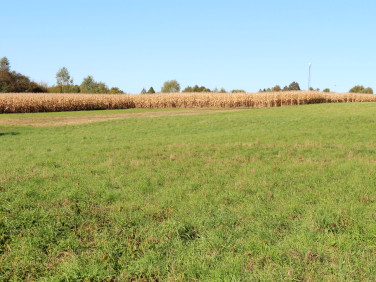 Działka budowlana Jerzmanowice sprzedam