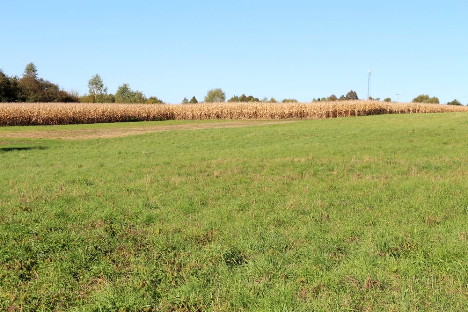 Działka budowlana Jerzmanowice sprzedam