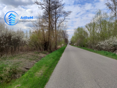 Działka budowlana Wilcza Wólka