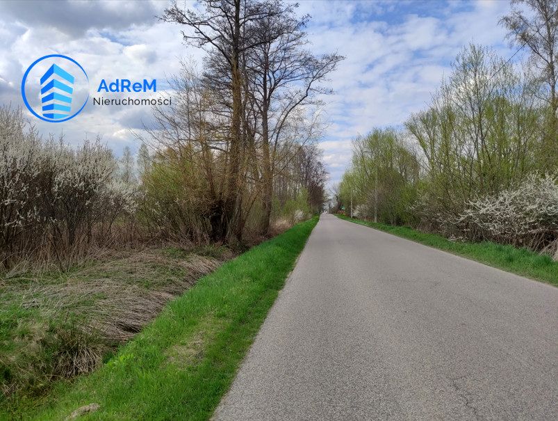 Działka budowlana Wilcza Wólka