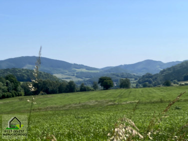 Działka rolna Radomierz