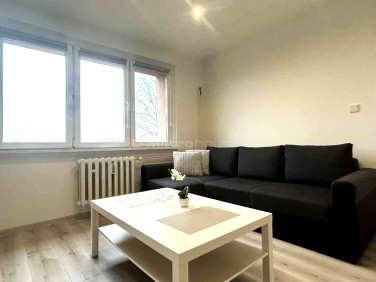 Mieszkanie Wodzisław Śląski