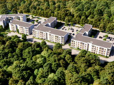 Forest Park Kajetany