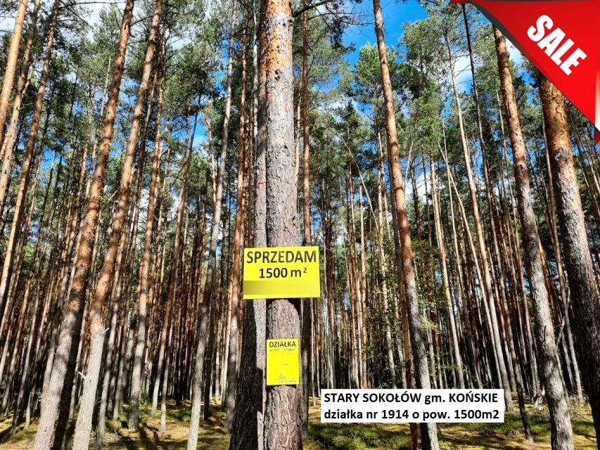 Działka leśna Stary Sokołów