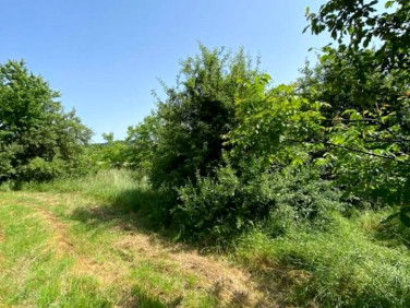 Działka budowlana Kielce