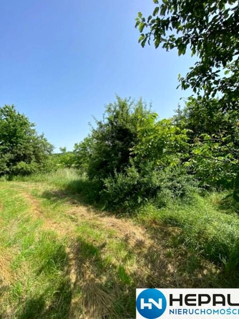 Działka budowlana Kielce