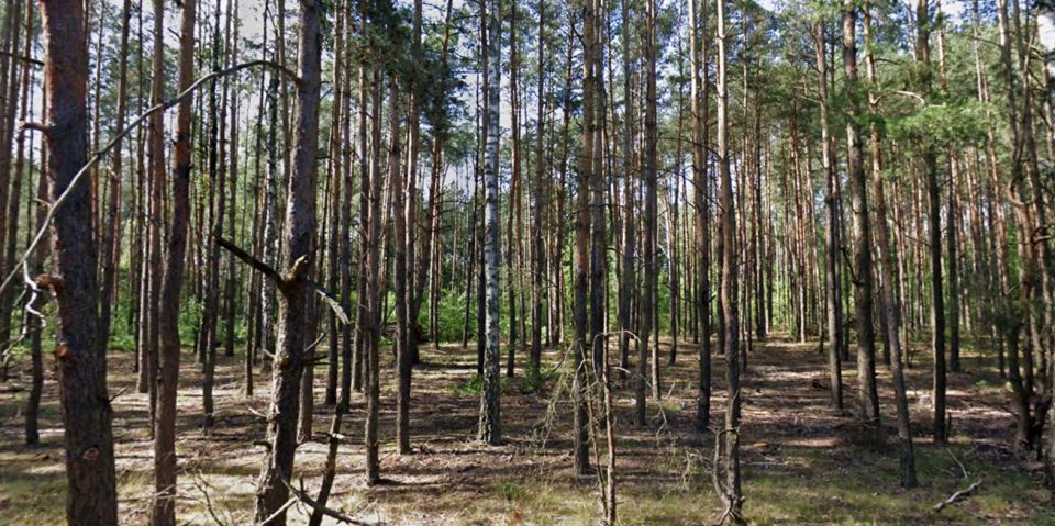 Działka budowlana Marynin