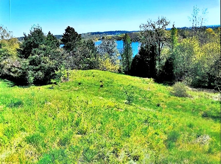 Działka budowlana Żywy