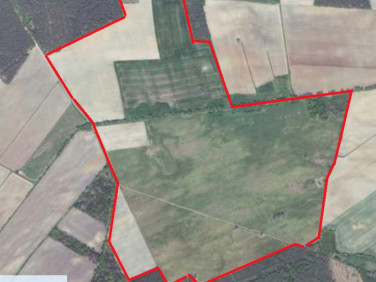 Działka rolna Koźla