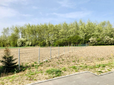 Pusta działka Oleśnica