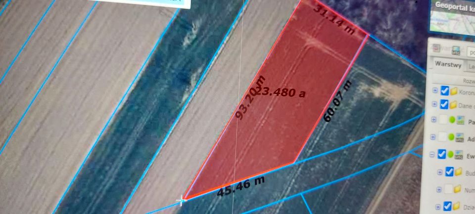 Działka budowlana Oleśnica