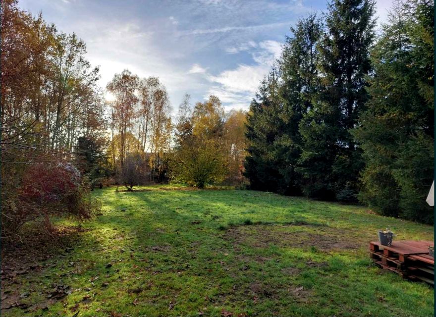 Działka przy lesie