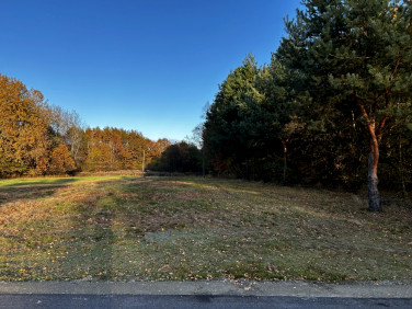 Działka budowlana Rydzów