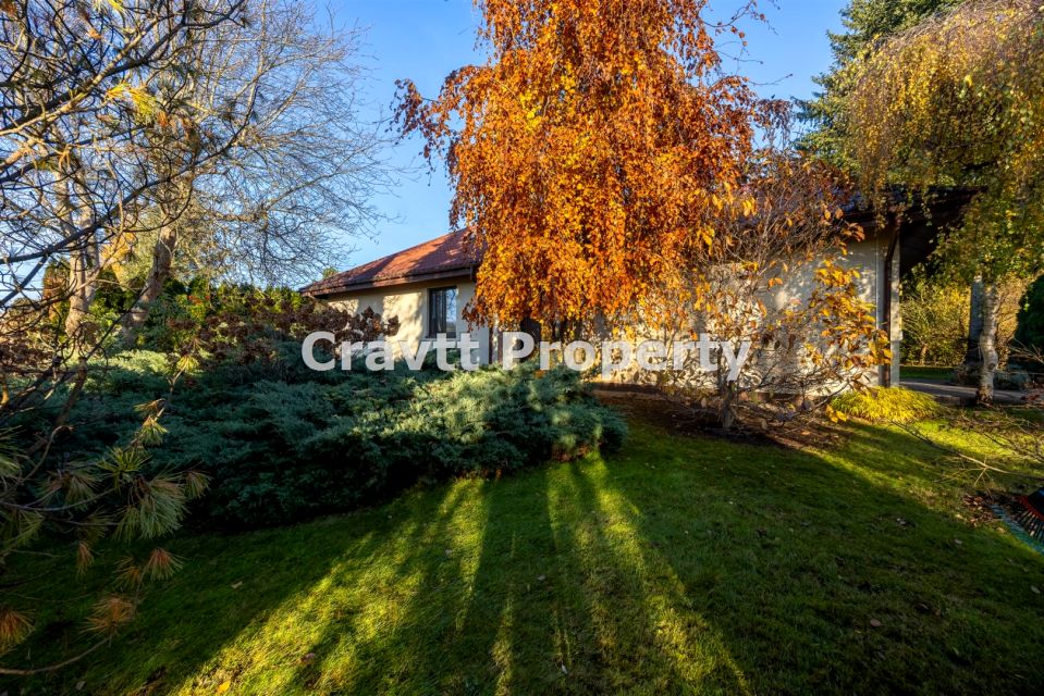 Dom wolnostojący sprzedaż