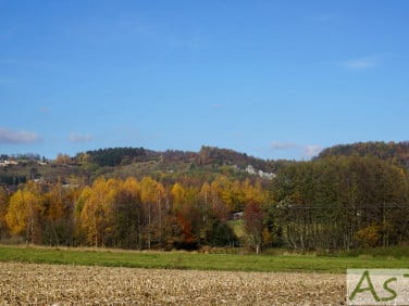 Działka budowlana Bolechowice
