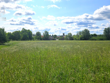 Działka rekreacyjna Krynki