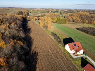 Działka budowlana Szczodrkowice