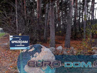 Pusta działka Krzywiń