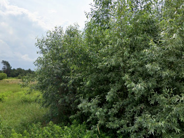 Działka budowlana Stanisławów Pierwszy