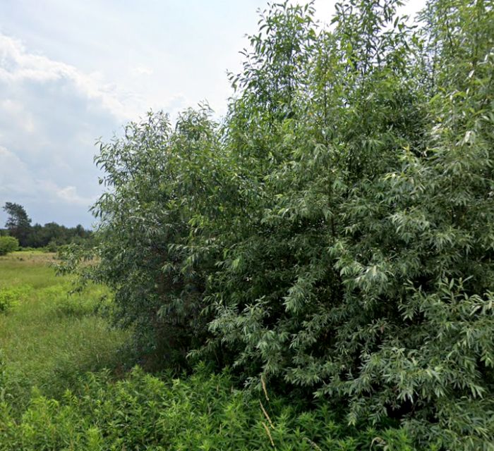 Działka budowlana Stanisławów Pierwszy