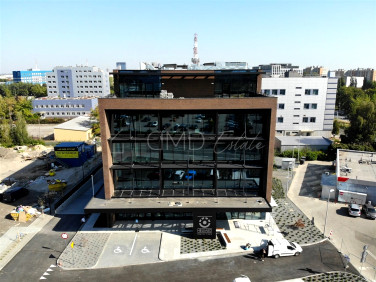 Lokal Katowice wynajem