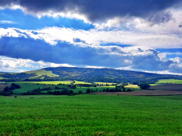Działka rekreacyjna Karlików