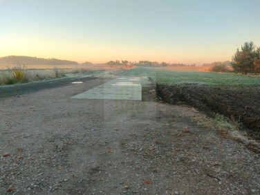 Działka Nowe Faszczyce