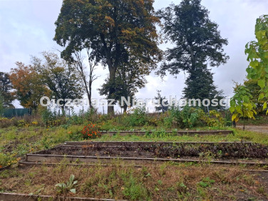 Działka rolna Zielonczyn