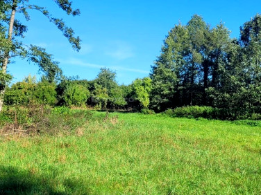 Budynek użytkowy Głowaczów