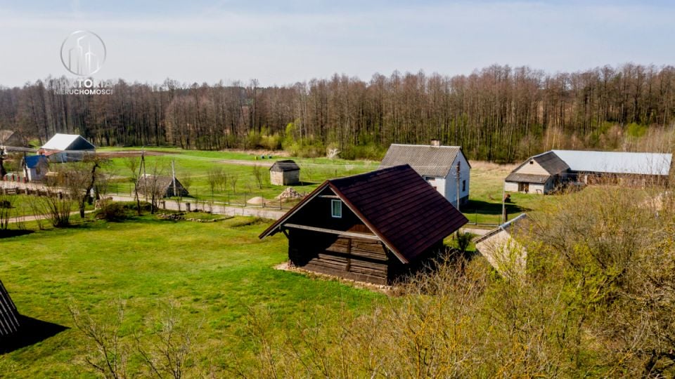 Zdjęcie 3