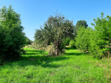Działka budowlana Boguszewo