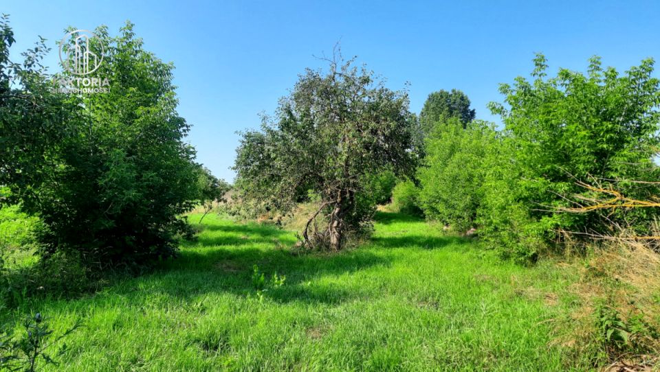 Działka budowlana Boguszewo