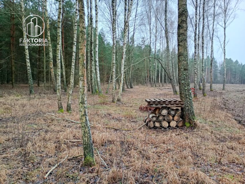 Działka rekreacyjna Bołtryki