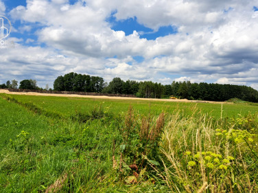 Działka budowlana Dobrzyniewo Kościelne