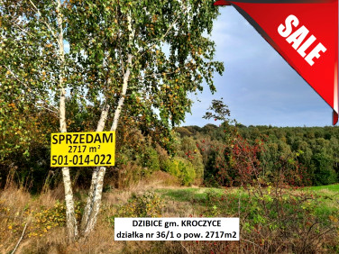 Działka budowlano-rolna Dzibice