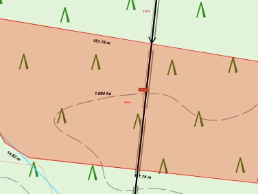 Działka leśna Felicja