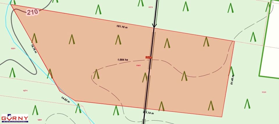 Działka leśna Felicja