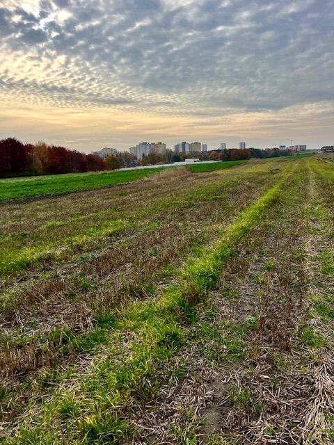 Działka budowlana Gliwice