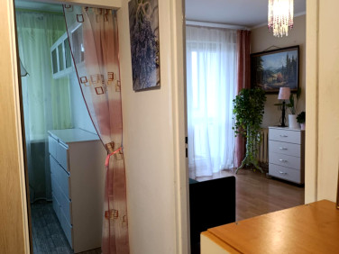 Mieszkanie Włocławek