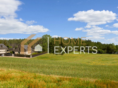 Dom wolnostojący sprzedaż