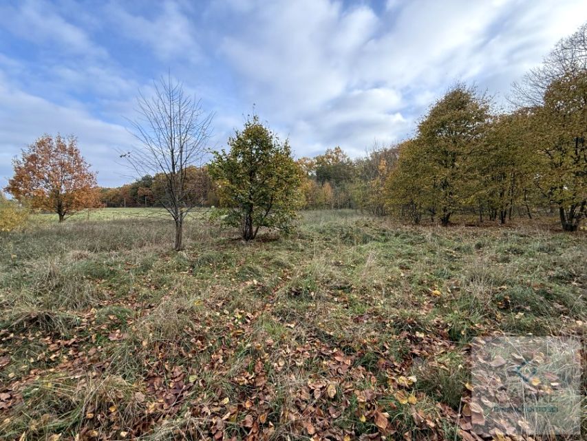 Działka Nowe Warpno