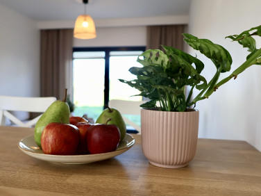 Mieszkanie Wieliczka