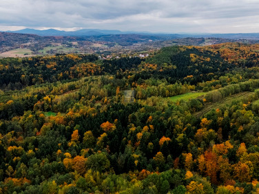 Działka rolna Pogwizdów