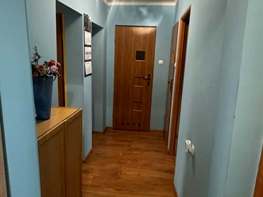 Mieszkanie Sosnowiec sprzedaż